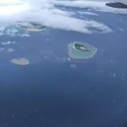 あねちょの画像