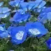 ゆきママ