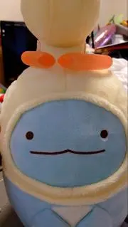 ☆とかげのざらし☆ミの画像