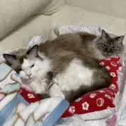 霊超感師❗️リカちゃん社長❗️即購入OKの画像