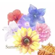 yuzutenの画像