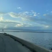 ウォルの画像