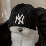 yの画像