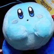 もみの木の画像