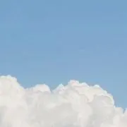 hayuの画像
