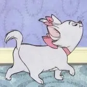 かな　セール中の画像