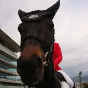 おがわじゅり 直筆サイン入り 額装イラストパネル コントレイル - メルカリ