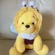 Poohの画像