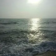 Tuu