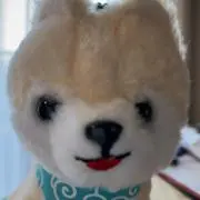まめしばの画像