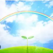 ココロの画像