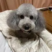 あ〜ちゃん