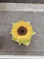 めいひの画像
