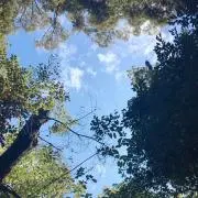 kの画像