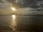 Sakiの画像