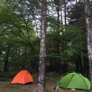 funmountain 断捨離中の画像