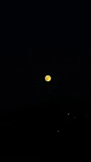 みゆ
