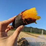みちるの画像