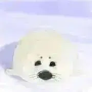 natsu(即購入OK)の画像