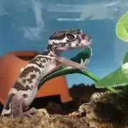 nabeの画像