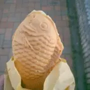 小笹