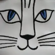 UFOきゃっちんの画像