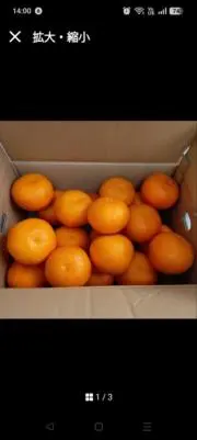 ベリーの画像