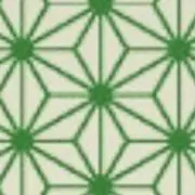 turtleの画像