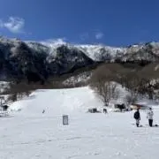 しばにいの画像