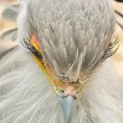 オルチャンの画像