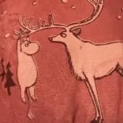電気鼠▼プロフ読んで下さいの画像