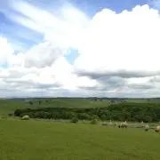 choccoの画像