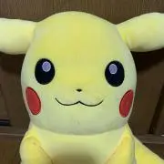 ピカの画像