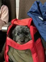 篆刻 1〜80、臨時増刊1〜25 計105冊セット◇東京堂出版、昭和58年