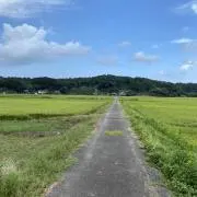 オータムリーフ。の画像