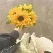 東京から発送の画像