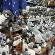 ゆきんこの画像