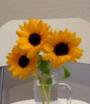 amiの画像