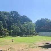 ワササワササ