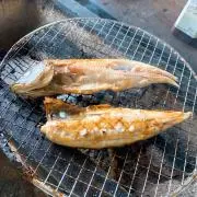 Ryo★プロフ必読お願いしますの画像