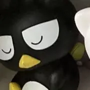 春菊の画像