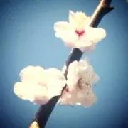 まちるだの画像
