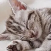 ゆうちゃん