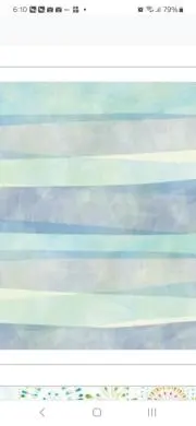 きのこのきの画像