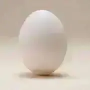 たまごの画像