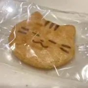 みょの画像
