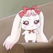 コトさんの画像