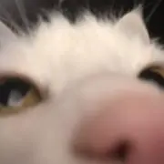 さんごうゆきふさの画像