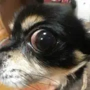 コタツ【⚠️プロフ必読】の画像