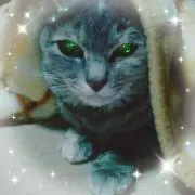 フブキ◆即購入◎の画像